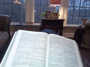 Bible studying